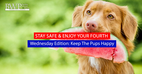 BWP’s “Stay Safe & Enjoy your Fourth” Wednesday's Edition: Keep the Pups Happy